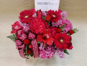 今日の花キューピット 今日の花キューピット