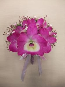 dscf0535