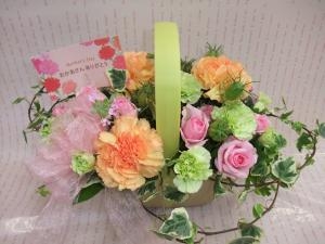 dscf0629