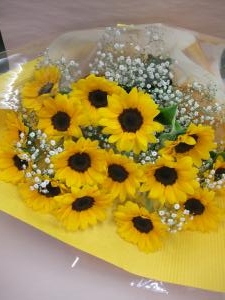 dscf0675