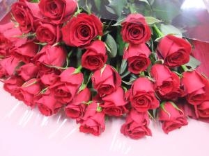 dscf0688