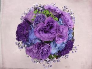 dscf0710