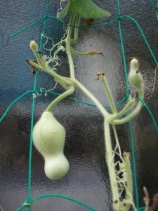 dscf0840