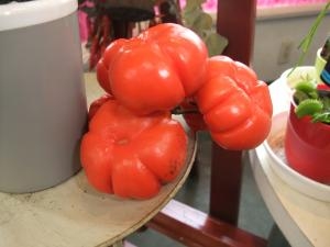 dscf0924