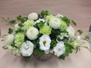 dscf0954