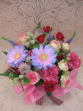 今日の花キューピット